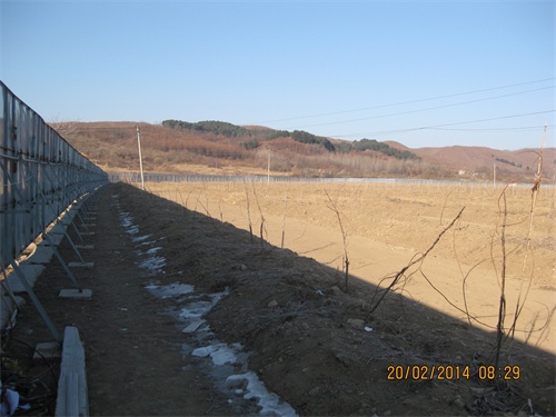 桂林软枣子基地冬景
